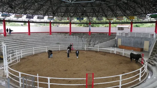 Tokunoshima Nakusamikan Bullfighting Arena