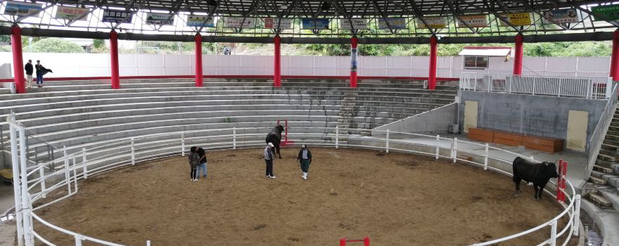 Tokunoshima Nakusamikan Bullfighting Arena