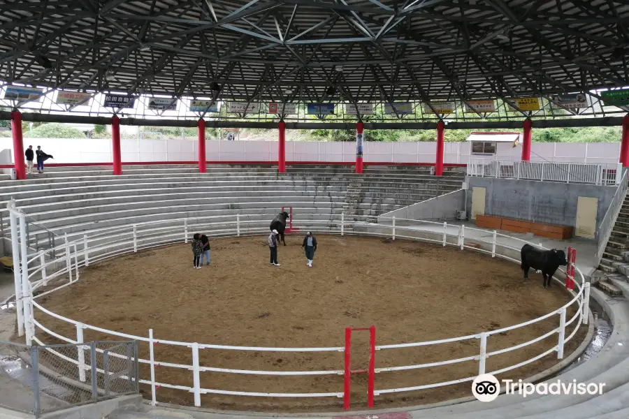 Tokunoshima Nakusamikan Bullfighting Arena