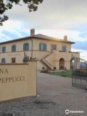 Cantina Peppucci