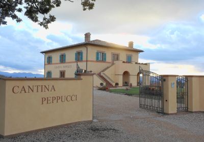 Cantina Peppucci