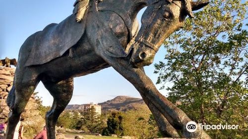 Cerro Del Libertador San Martin