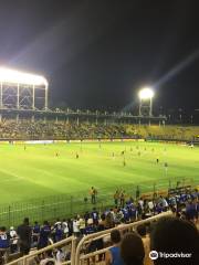 Raulino de Oliveira Stadium