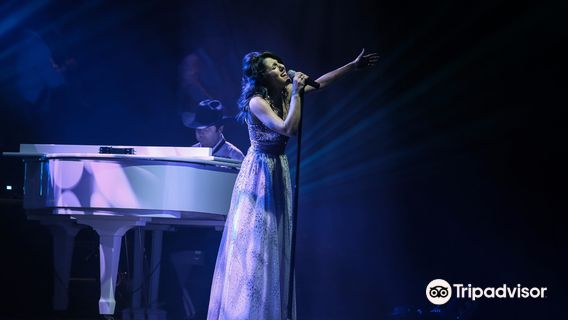 Branson's Famous Baldknobbers Show - Now Performing in The Hughes Brothers Theatre