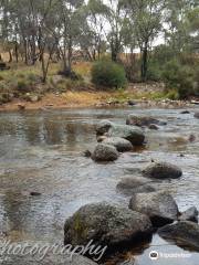 Thredbo River Track