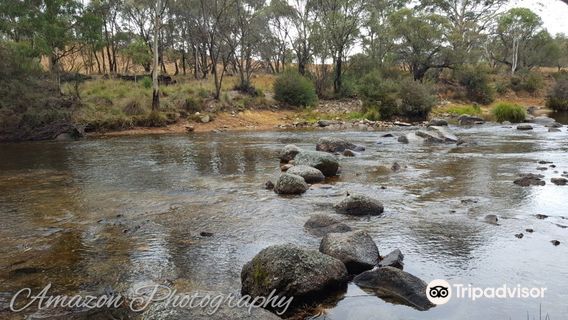 Thredbo River Track