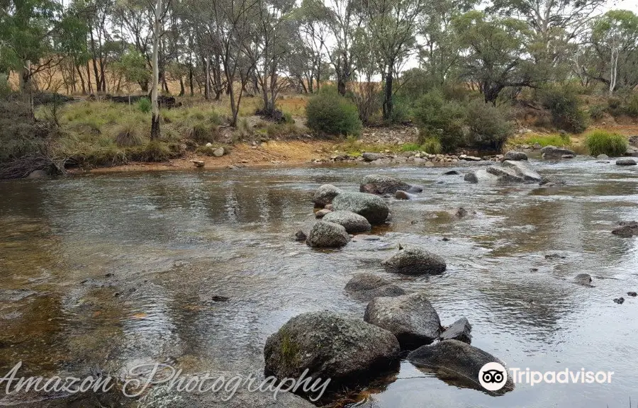 Thredbo River Track