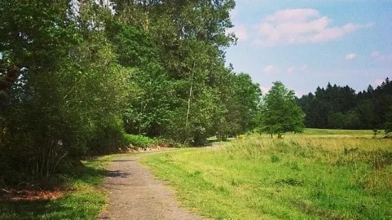 Molalla River State Park