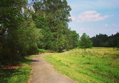 Molalla River State Park