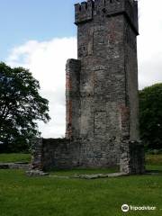 Castletown Motte