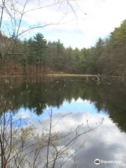 Hapgood Wright Town Forest - Fairyland Pond Parking