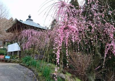 Fukoji temple’s Garyubai