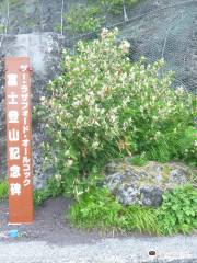 The Monument of Mt.Fuji Climbing by Sir Rutherford Alcock