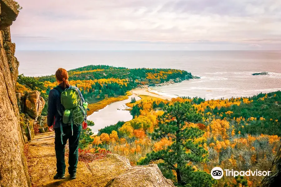 Champlain Mountain & Beehive Loop Trail