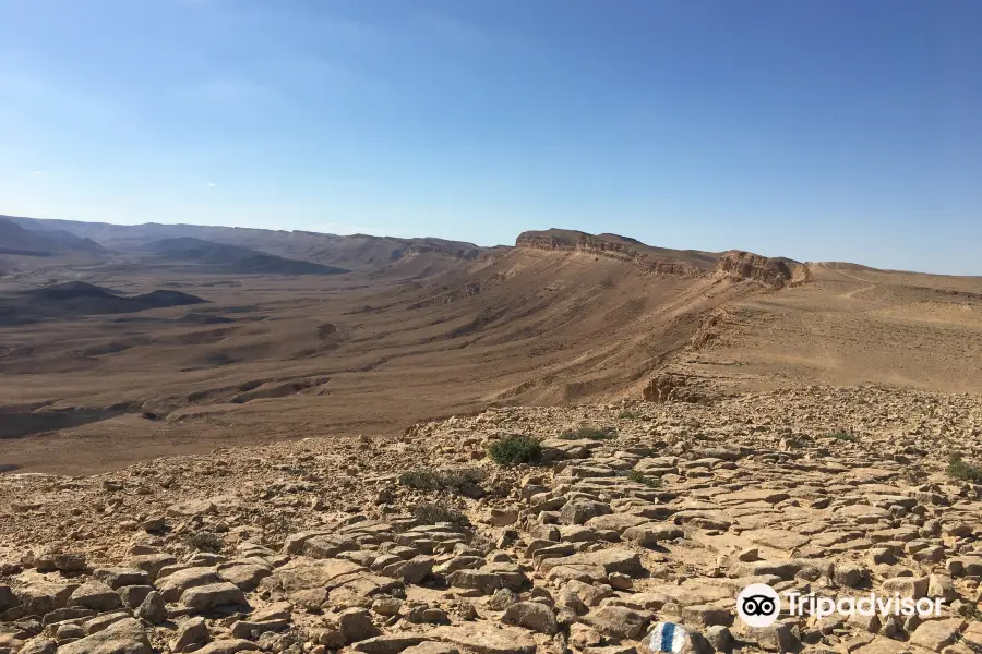 Holy Trails - Trail Running in Israel