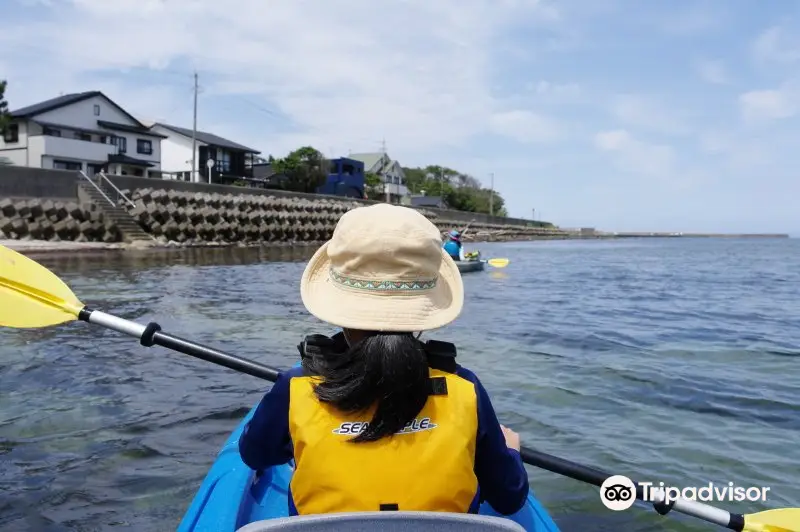 Yakushima Nature School