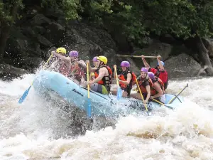 New & Gauley River Adventures