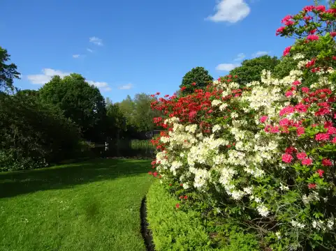 ブルーアーセ公園周辺のホテル