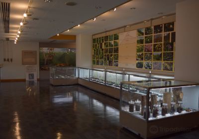 Omogosangaku Museum