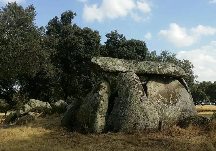 Canaviais