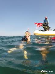 Archimede Diving Center Djerba