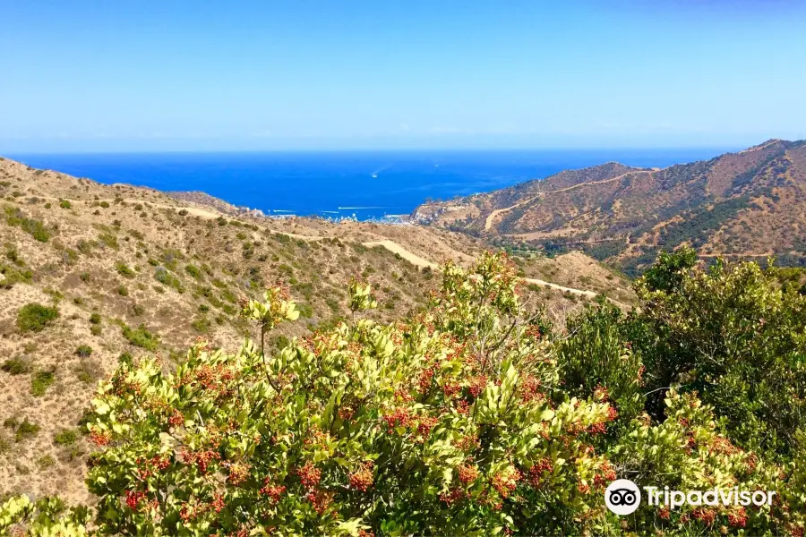 Hermit Gulch Trail Loop