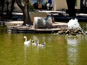 トレーゼ・デ・マイオ公園