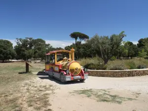 Parc de Figuerolles