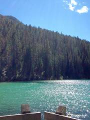 Olive Lake