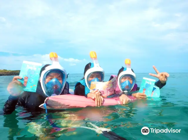 Diving in Penghu