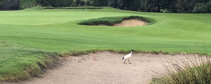 The Lakes Golf Club