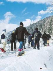 Vertical Horizons - Chatel