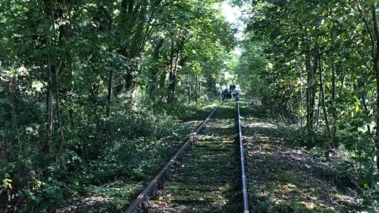 Südpfalz-Draisinenbahn