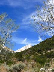 Baker Lake Trail