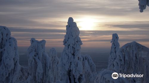 Mountain Polyud