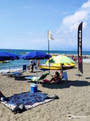 Spot1 Surfschool - Le Gorette -