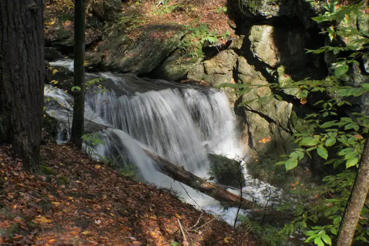 Naugatuck