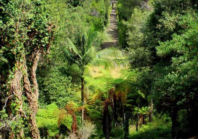 Domaine du Rayol, The Mediterranean Gardens