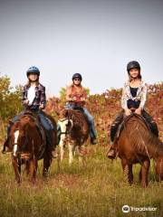 Christine's Horseback Riding