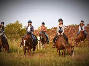 christine's horseback riding
