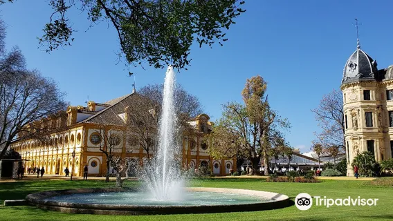 Royal Andalusian School of Equestrian Art