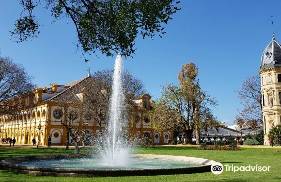 皇家安達盧西亞馬術學校馬術表演門票成人