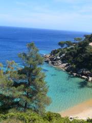 Spiaggia delle Caldane