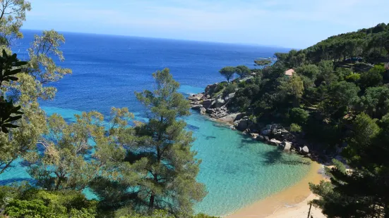 Spiaggia delle Caldane