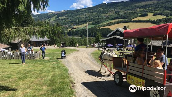 Barnas Gard Hunderfossen /Kid's farm Hunderfossen