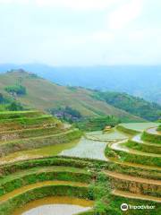 龍勝龍脊山