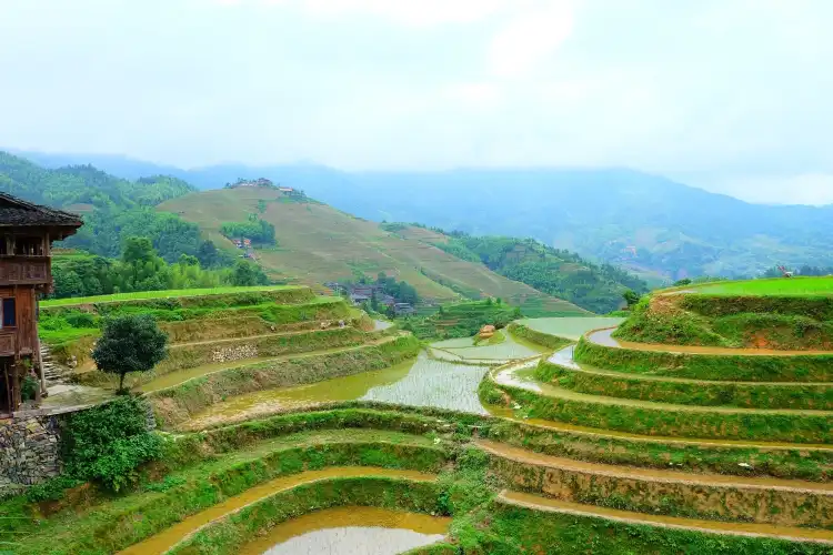 Hotels near Longji Mountain