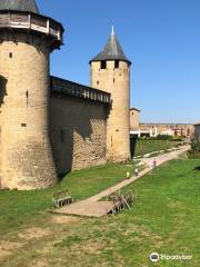 Cathar Castles