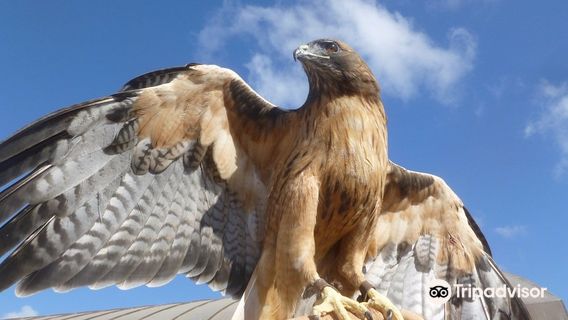 Living Coast Discovery Center