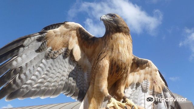 Living Coast Discovery Center